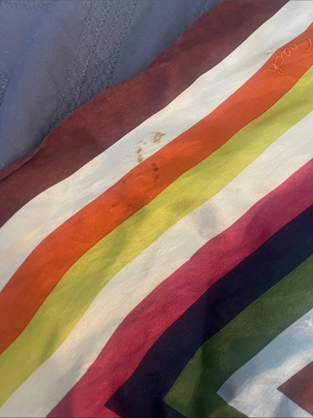 Coach Scarf - Picture 3 of 3